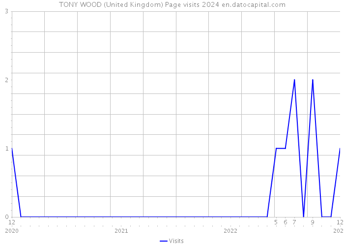 TONY WOOD (United Kingdom) Page visits 2024 
