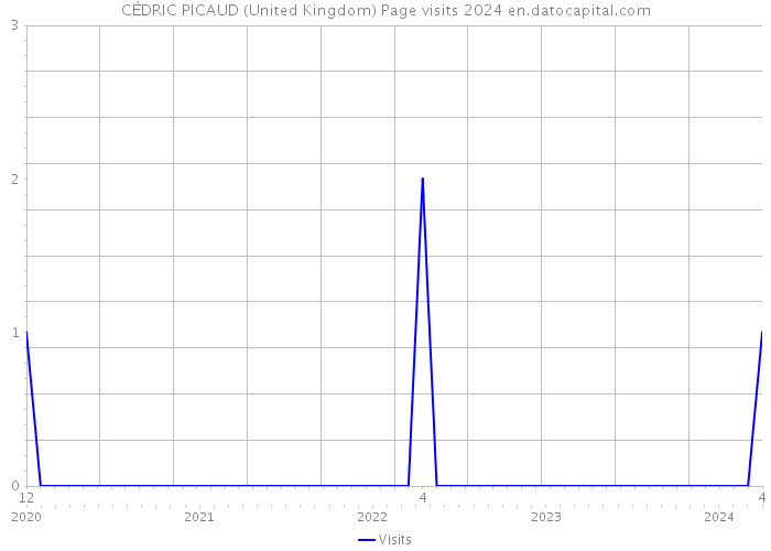 CÉDRIC PICAUD (United Kingdom) Page visits 2024 