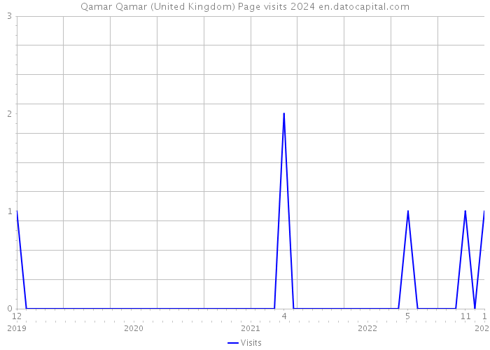 Qamar Qamar (United Kingdom) Page visits 2024 