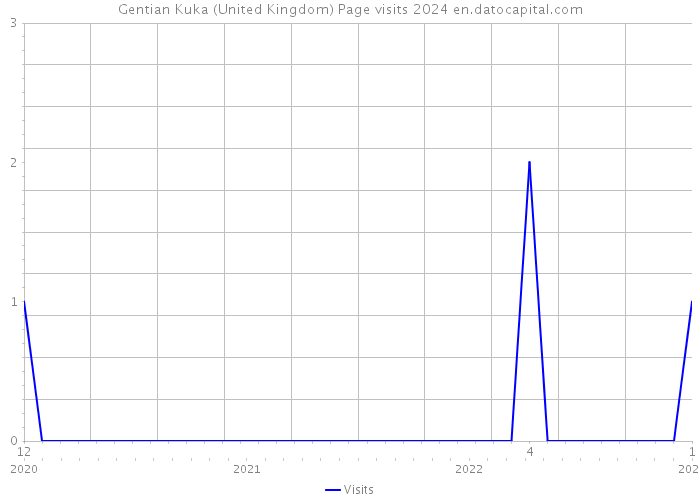 Gentian Kuka (United Kingdom) Page visits 2024 