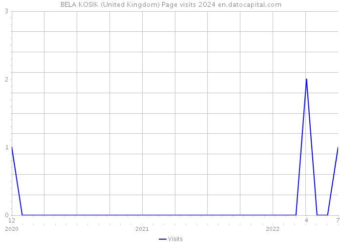 BELA KOSIK (United Kingdom) Page visits 2024 