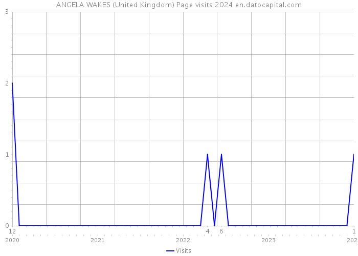 ANGELA WAKES (United Kingdom) Page visits 2024 