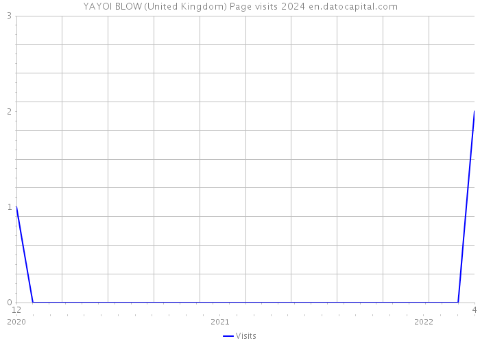 YAYOI BLOW (United Kingdom) Page visits 2024 