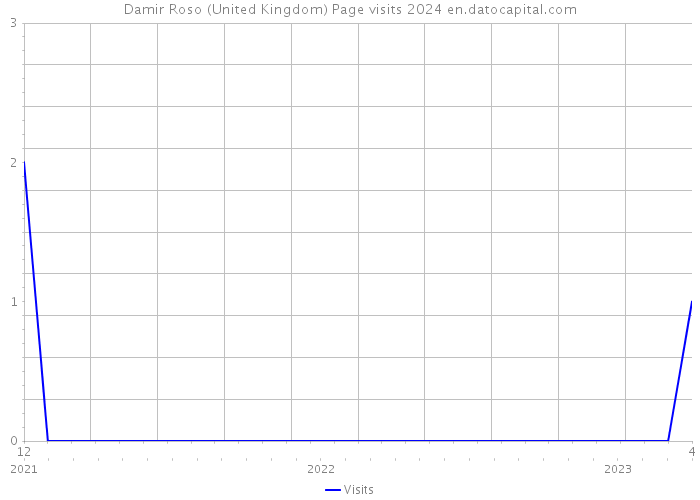 Damir Roso (United Kingdom) Page visits 2024 