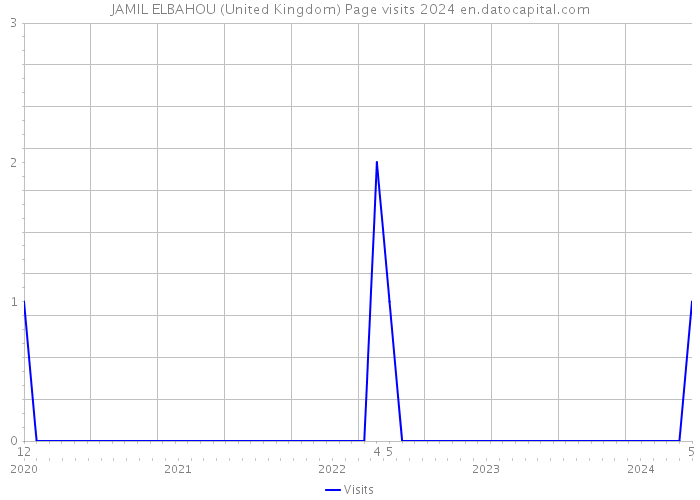 JAMIL ELBAHOU (United Kingdom) Page visits 2024 