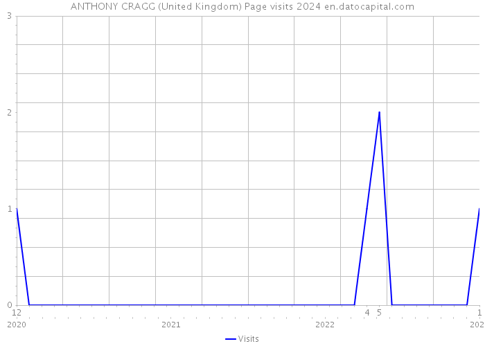 ANTHONY CRAGG (United Kingdom) Page visits 2024 