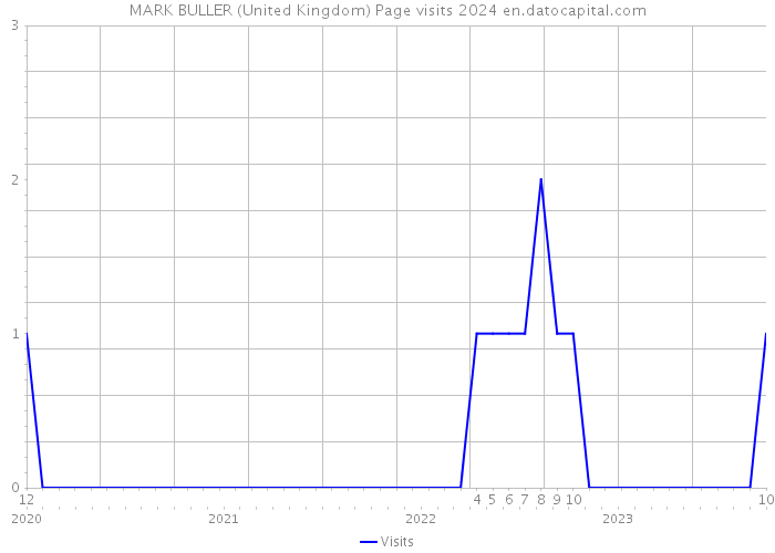 MARK BULLER (United Kingdom) Page visits 2024 