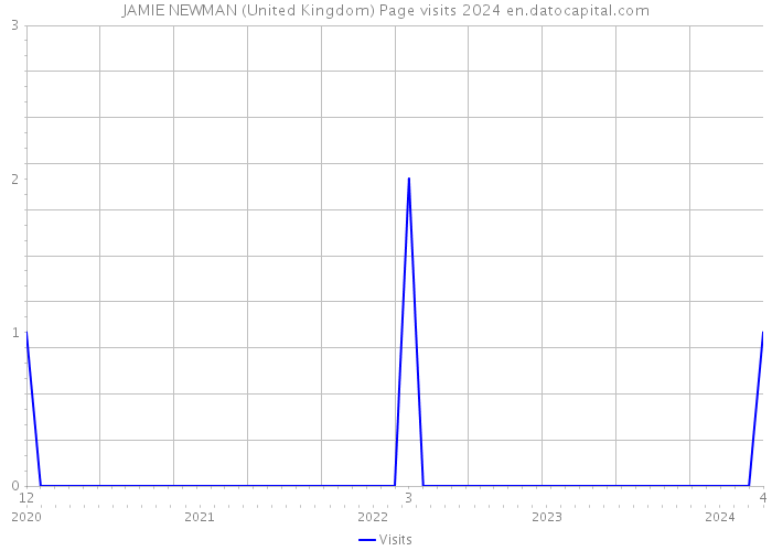 JAMIE NEWMAN (United Kingdom) Page visits 2024 