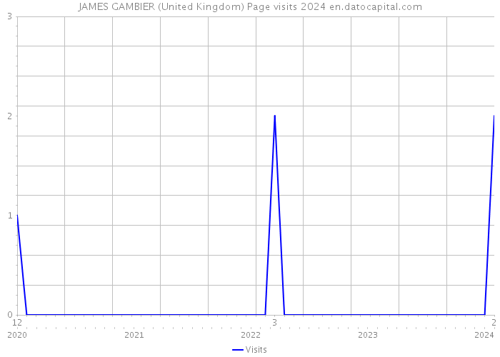 JAMES GAMBIER (United Kingdom) Page visits 2024 