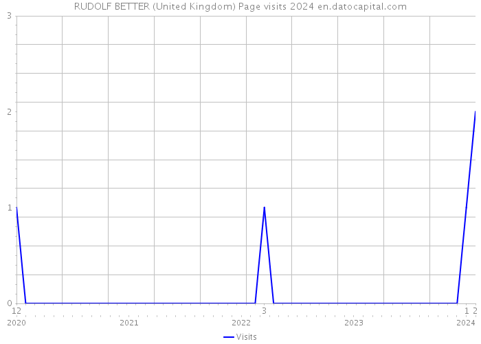 RUDOLF BETTER (United Kingdom) Page visits 2024 
