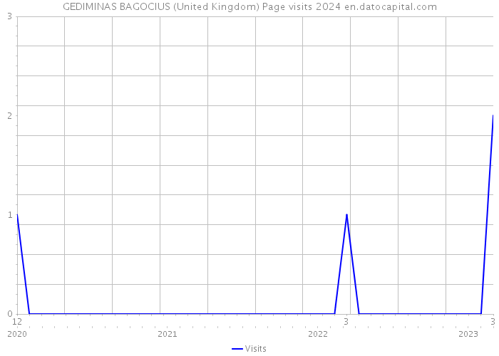 GEDIMINAS BAGOCIUS (United Kingdom) Page visits 2024 