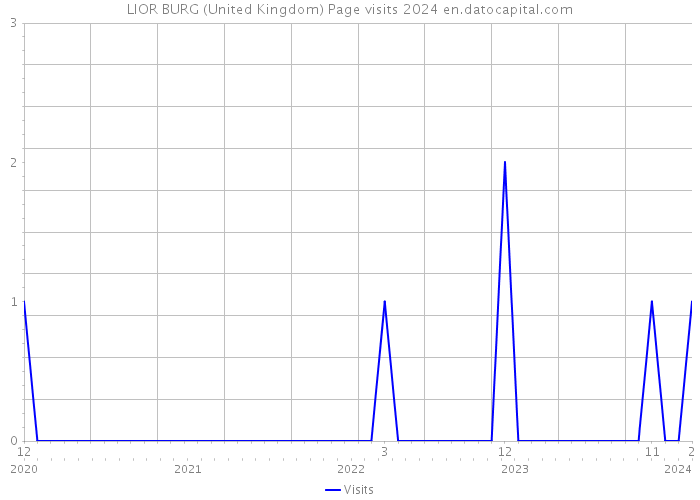 LIOR BURG (United Kingdom) Page visits 2024 