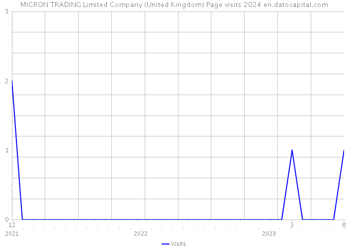 MICRON TRADING Limited Company (United Kingdom) Page visits 2024 