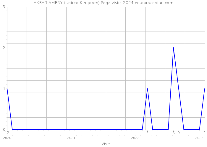 AKBAR AMERY (United Kingdom) Page visits 2024 