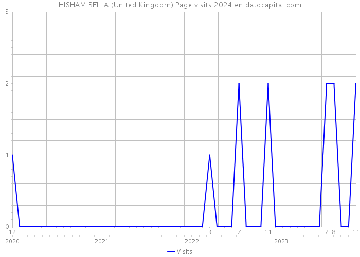 HISHAM BELLA (United Kingdom) Page visits 2024 