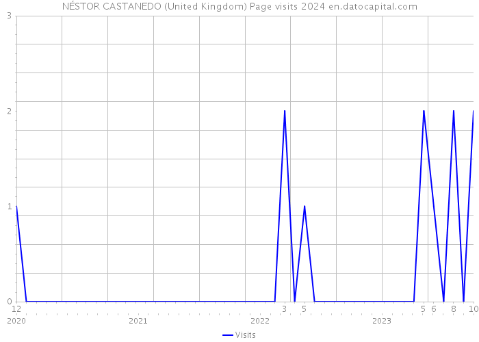 NÉSTOR CASTANEDO (United Kingdom) Page visits 2024 