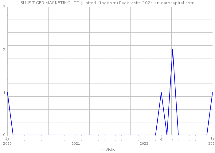 BLUE TIGER MARKETING LTD (United Kingdom) Page visits 2024 