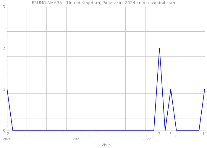 BRUNO AMARAL (United Kingdom) Page visits 2024 