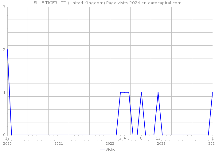 BLUE TIGER LTD (United Kingdom) Page visits 2024 