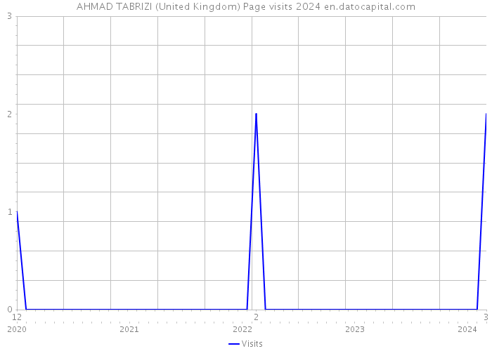 AHMAD TABRIZI (United Kingdom) Page visits 2024 