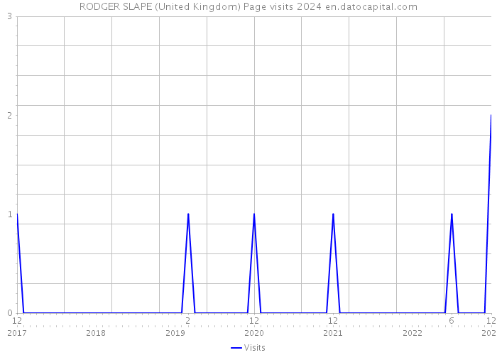 RODGER SLAPE (United Kingdom) Page visits 2024 