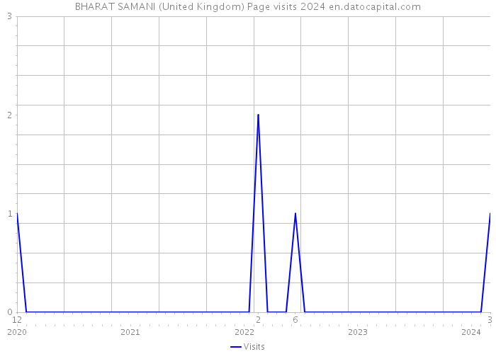 BHARAT SAMANI (United Kingdom) Page visits 2024 
