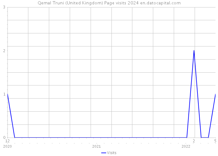 Qemal Truni (United Kingdom) Page visits 2024 