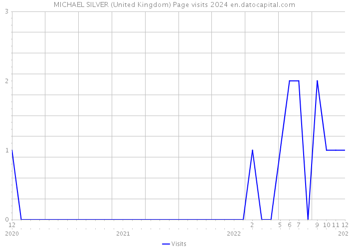 MICHAEL SILVER (United Kingdom) Page visits 2024 