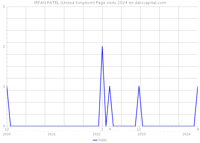 IRFAN PATEL (United Kingdom) Page visits 2024 