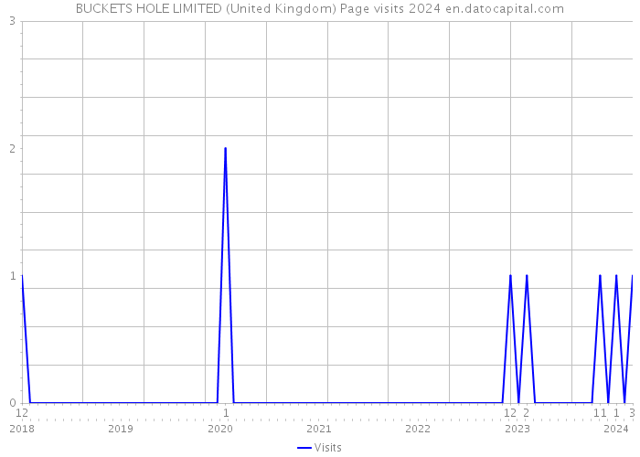 BUCKETS HOLE LIMITED (United Kingdom) Page visits 2024 