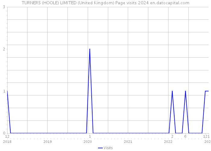 TURNERS (HOOLE) LIMITED (United Kingdom) Page visits 2024 