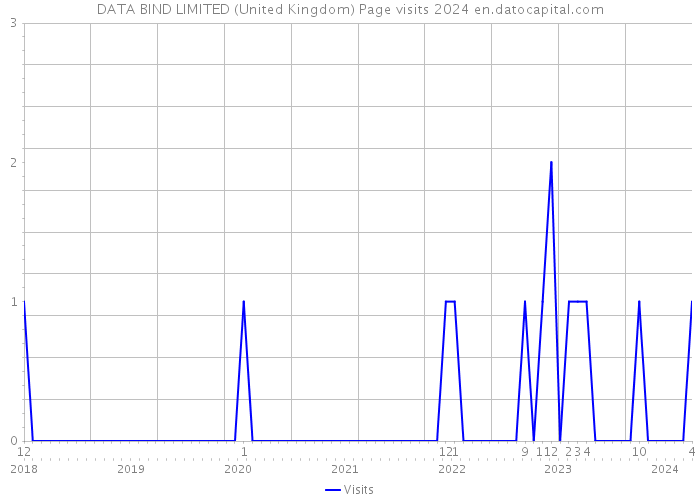 DATA BIND LIMITED (United Kingdom) Page visits 2024 