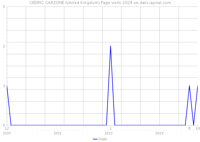 CEDRIC GARZONE (United Kingdom) Page visits 2024 