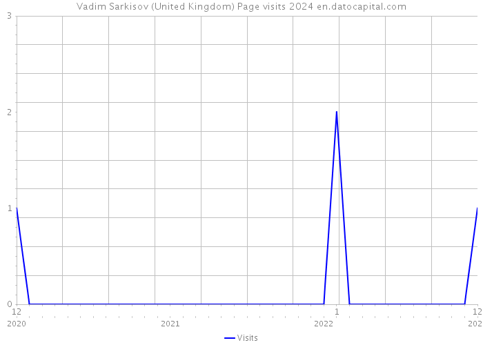 Vadim Sarkisov (United Kingdom) Page visits 2024 
