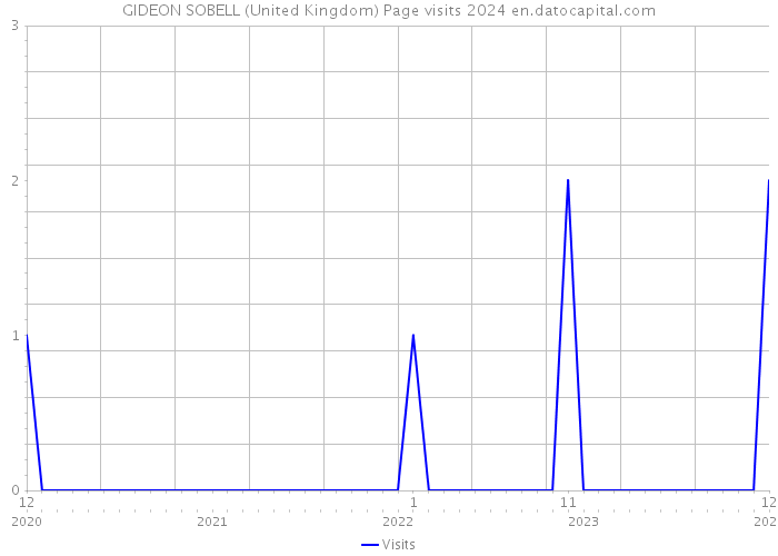 GIDEON SOBELL (United Kingdom) Page visits 2024 