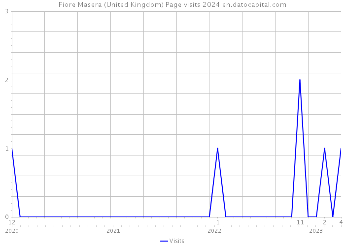 Fiore Masera (United Kingdom) Page visits 2024 