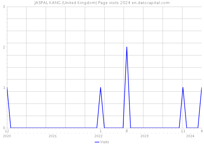 JASPAL KANG (United Kingdom) Page visits 2024 