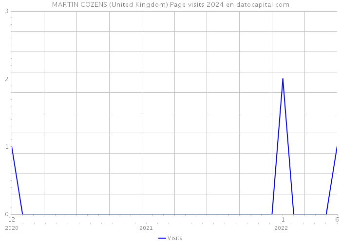 MARTIN COZENS (United Kingdom) Page visits 2024 