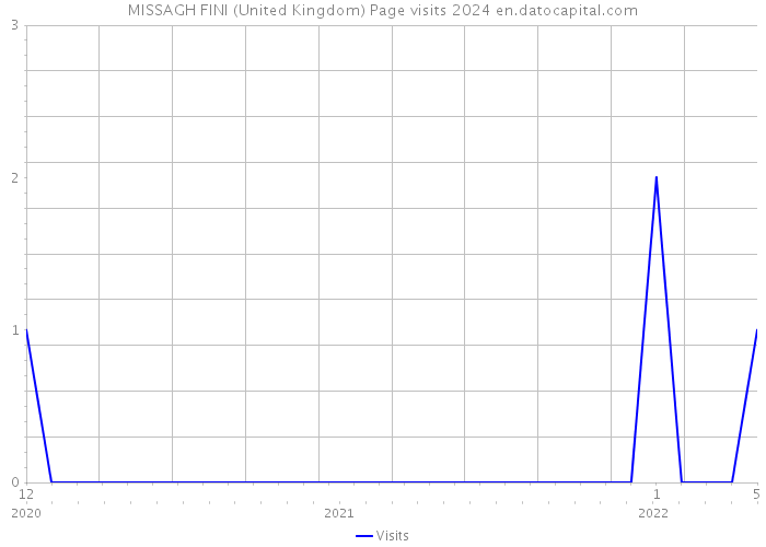 MISSAGH FINI (United Kingdom) Page visits 2024 