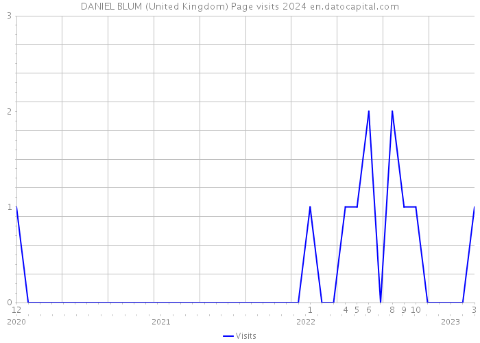 DANIEL BLUM (United Kingdom) Page visits 2024 