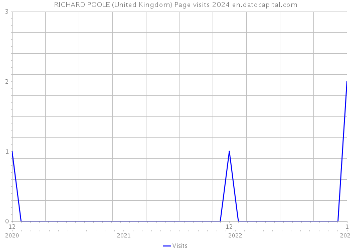 RICHARD POOLE (United Kingdom) Page visits 2024 