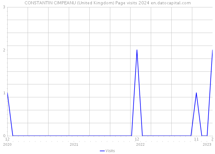 CONSTANTIN CIMPEANU (United Kingdom) Page visits 2024 