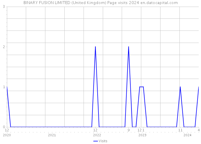 BINARY FUSION LIMITED (United Kingdom) Page visits 2024 