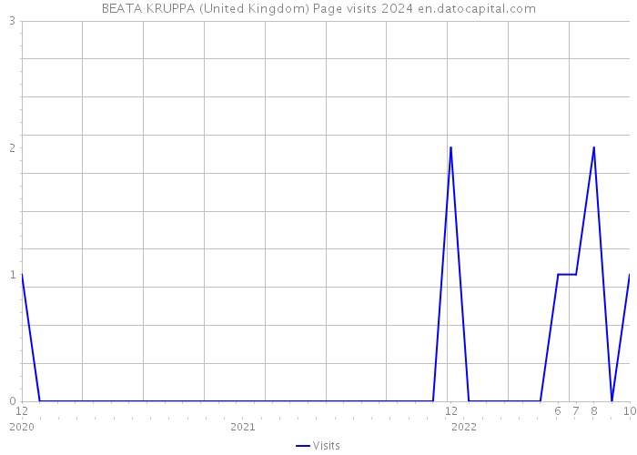BEATA KRUPPA (United Kingdom) Page visits 2024 