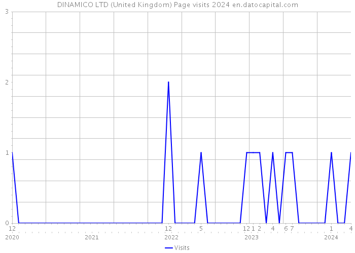 DINAMICO LTD (United Kingdom) Page visits 2024 