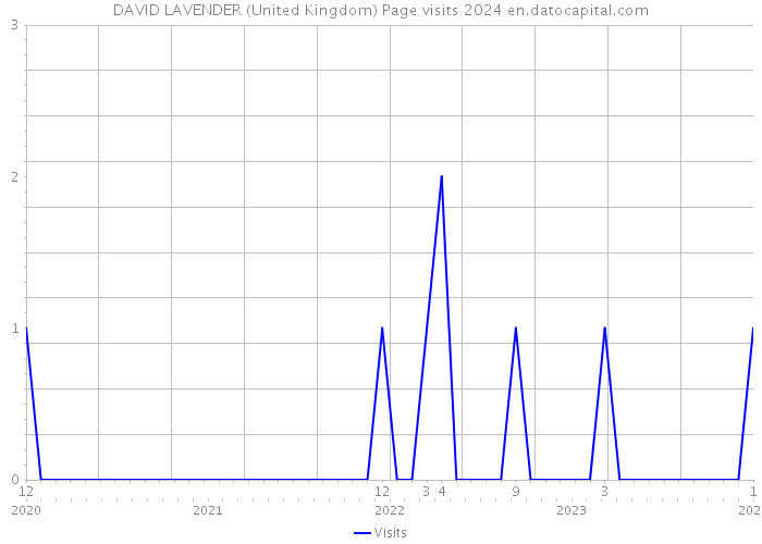 DAVID LAVENDER (United Kingdom) Page visits 2024 