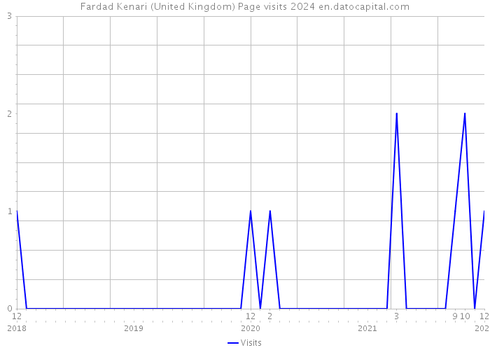 Fardad Kenari (United Kingdom) Page visits 2024 