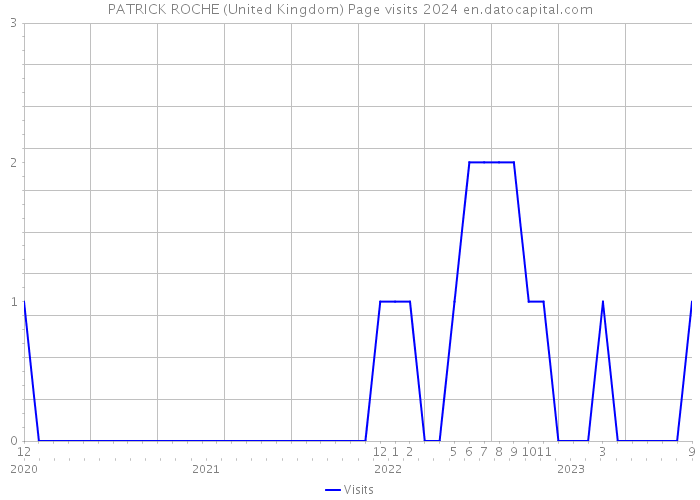 PATRICK ROCHE (United Kingdom) Page visits 2024 