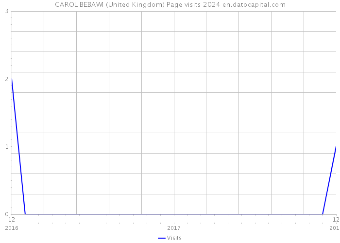 CAROL BEBAWI (United Kingdom) Page visits 2024 