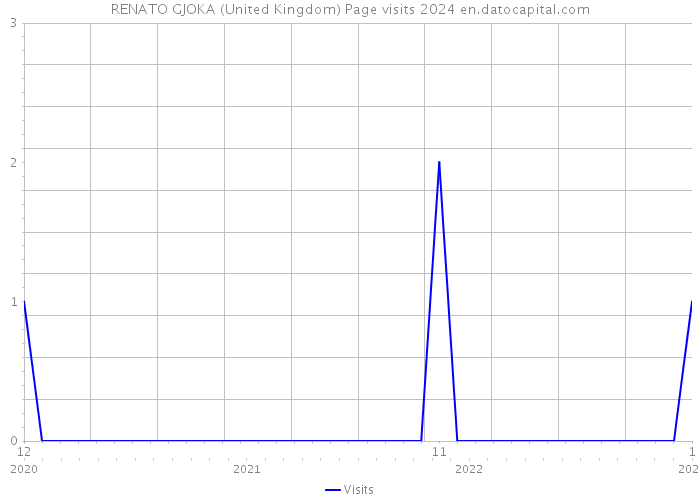 RENATO GJOKA (United Kingdom) Page visits 2024 
